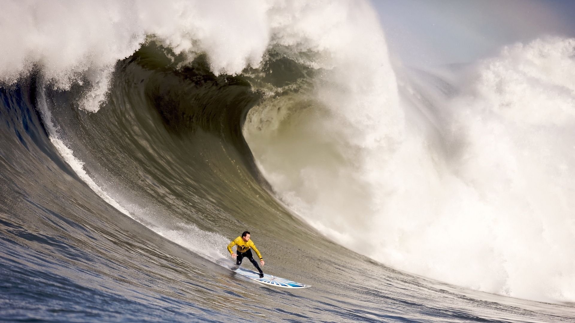 莎拉波娃赛事官方发布败北新规,引发热火争议